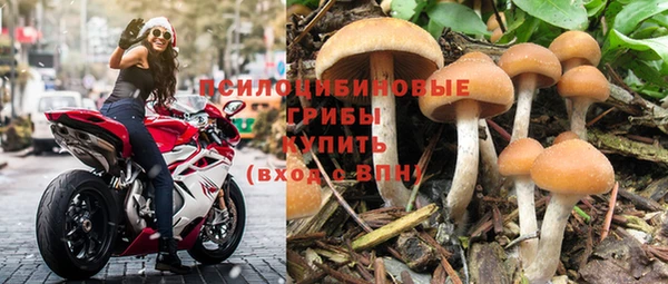 ешки Алзамай
