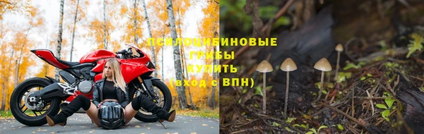 ешки Алзамай