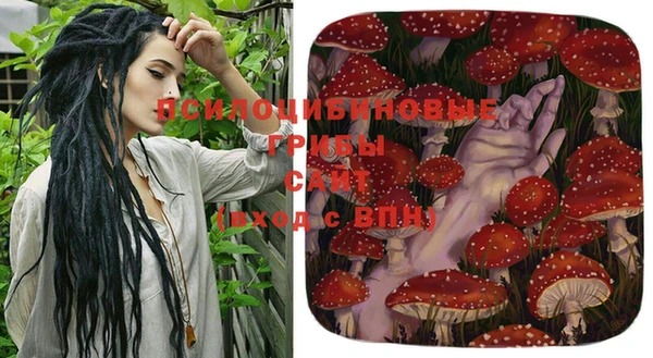 таблы Алексин