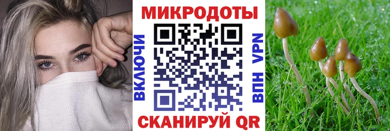 Псилоцибиновые грибы ЛСД  MEGA маркетплейс  Апшеронск 